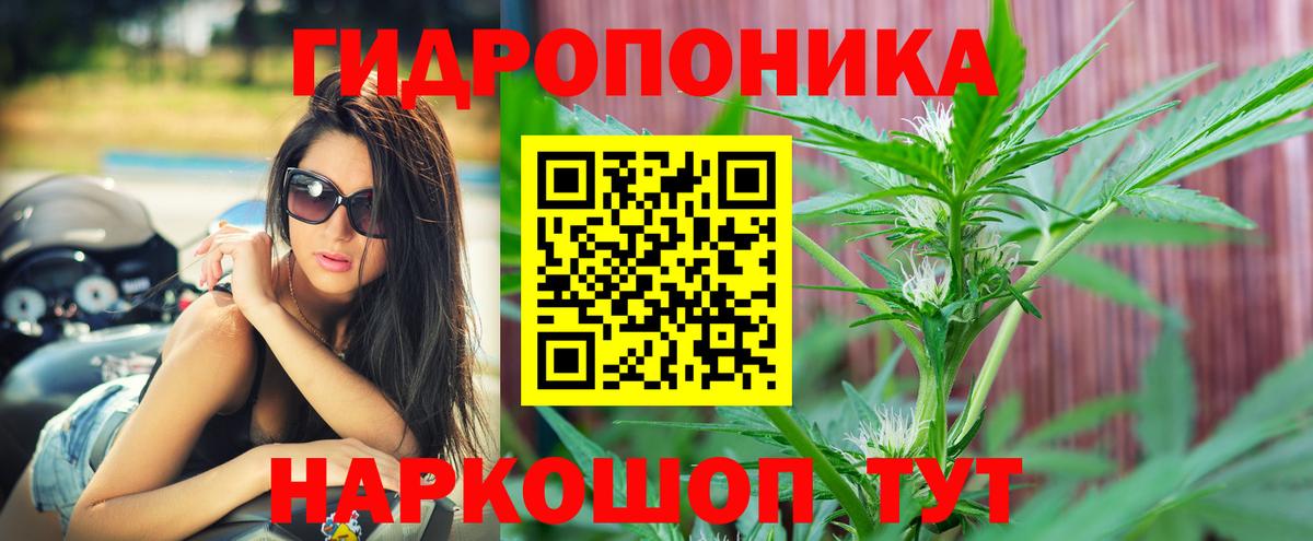 Бошки Шишки SATIVA & INDICA Новодвинск